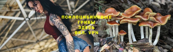 прущие крисы Абдулино