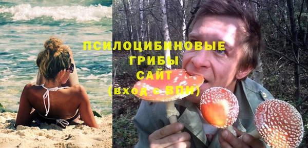 кокс Алексин